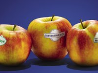 Paziņojums  par  nodomu noteikt  aizliegumu ģenētiski modificēto kultūraugu audzēšanai Siguldas novada teritorijā