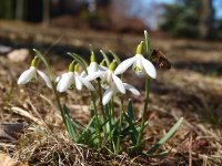 Pasākumi Siguldas novadā