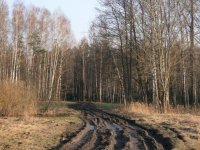 Aizliegta smagā transporta kustība pa pašvaldības ceļiem