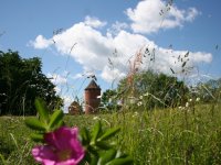 Aicina uz Turaidu baudīt vasaras plaukumu