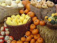  Siguldā notiks Miķeļdienas gadatirgus