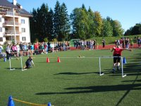 Siguldas novada skolu Olimpiskajās dienās