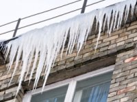 Namu īpašniekus un apsaimniekotājus aicina pievērst uzmanību lāstekām