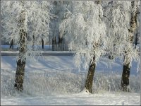 Šonedēļ Siguldas novadā – plaša kultūras un sporta pasākumu programma