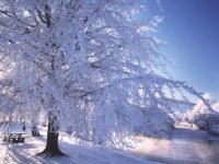 Šonedēļ Siguldas novadā – kultūras, sporta un arī romantiskas atpūtas iespējas