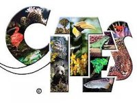 Iespēja piedalīties radošo darbu konkursā