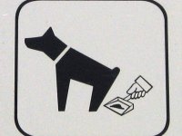 Pašvaldības policija pievērsīs pastiprinātu uzmanību dzīvnieku labturības prasību ievērošanai