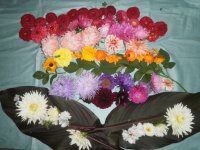 Skolotāju dienai veltītie pasākumi Allažos 