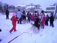 Pirmklasnieki Allažos iemēģina braukšanu suņu pajūgā
