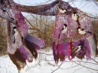 Siguldā būs skatāma brīvdabas tekstiliju izstāde „Spārni”