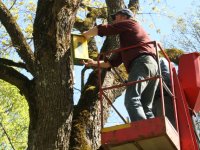 Maija parkā apskatāmi apgleznoti putnu būrīši