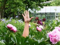  Uzsākta foto akcija par jauniešu brīvprātīgo darbu 