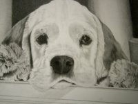 Jūdažu Sabiedriskajā centrā būs skatāma grafiķes Lilitas Joņinas gleznu izstāde 