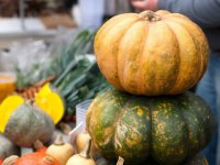 Svētdien Siguldā notiks rudens gadatirgus