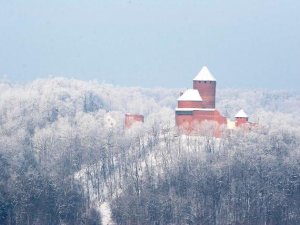 Turaidas muzejrezervāts un Latvijas Dabas fonds aicina uz talku
