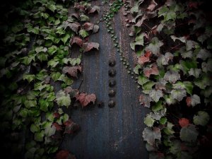 Siguldā skatāma fotogrāfa Ulda Balgas personālizstāde „Kniede”