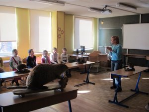 Dabas muzeja nodarbības Siguldas 1.pamatskolā