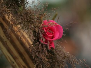 Maijas dienā Turaidā – zibakcija „Atzīsties mīlestībā!”