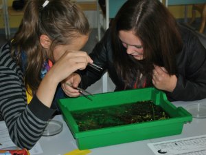 Mācīties vasarā var būt interesanti un motivējoši