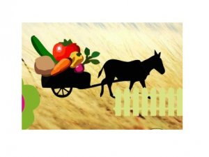 Siguldiešiem labi rezultāti starptautiskā mākslas konkursā