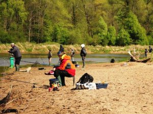 Pirmā pavasara zveja Siguldā