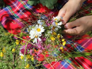 Notiks radošā darbnīca par vainaga pīšanu un jāņu zāļu gudrībām