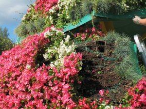 Izpostīti Spieķu parka stādījumi