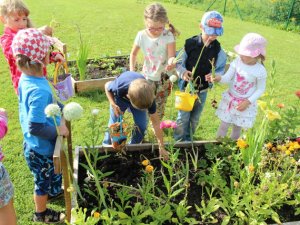 Ekoskolas aktivitātes vasarā bērnudārzā „ Ieviņa”