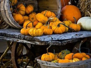 Septembra beigās Siguldā aicinām apmeklēt rudens tirdziņu