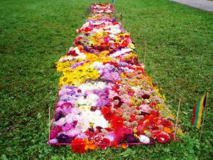 Rudens aktivitātes Allažu pamatskolā