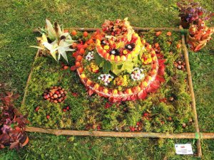 Noslēdzies konkurss „Dabas paklājs” Siguldas 1.pamatskolā