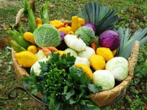 Ražas svētki Allažos