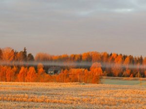 Valsts svētku pasākumi Allažos