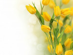 Sieviešu dienas koncerts pagasta Kultūras namā