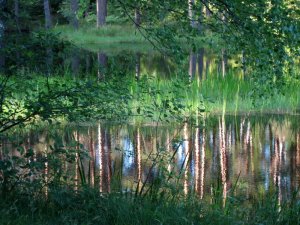 Vīru kora koncerts Allažu pagasta Tautas namā