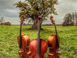 Siguldas novada Kultūras centrā uzstāsies čellu trio „Melo M”