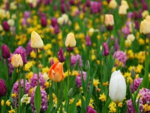 Māmiņdienas pasākumi Siguldas novada bibliotēkās