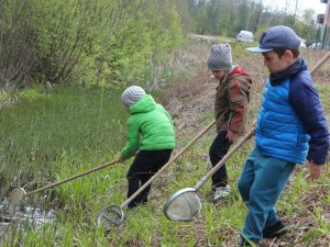 Bērnudārzā „Ieviņa” turpinās vides nodarbības ar Intu Somu