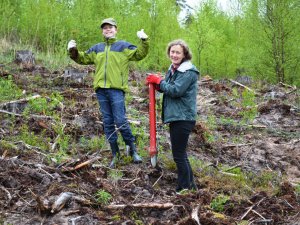 Laurenču sākumskolas skolēni stāda mežu Amatas novadā