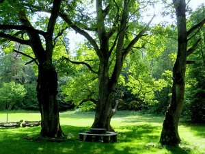 Aicina uz pilnmēness rituāliem Kaļķugravas avotos