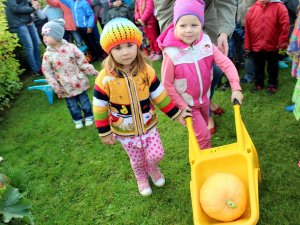 Ķirbju svētki un rudens velšu izstāde bērnudārzā „Ieviņa”