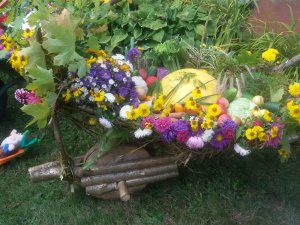 Rudens velšu izstāde „Esmu savāds” Allažu pamatskolā