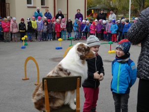 Suņa Brisingera ciemošanās bērnudārzā „Ābelīte”