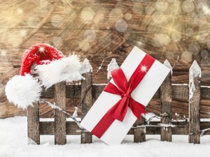 Šonedēļ Siguldas novadā – Ziemassvētku gaidīšanas pasākumi, grupas „Putni” koncerts un radošās darbnīcas