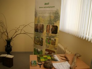 Izstāde „Ķemeru Nacionālā parka bagātības” Siguldas novada bibliotēkā