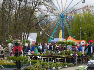 Siguldā notiks 15.Latvijas Stādu parāde; plānoti satiksmes ierobežojumi
