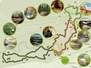 Siguldā norisināsies viens no skrējienu seriāla „Stirnu buks” posmiem