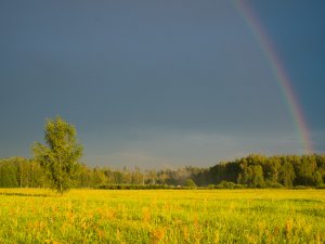 Noslēgsies Akenstakas kultūrvēsturiskā mantojuma projekts