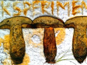 Papīra gatavošana no augiem papīrmākslas darbnīcā „Viktora vēstules”