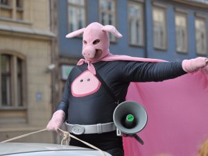 Bērnudārzs „Ābelīte” piedalīsies ekoprogrammā „Cūkmena detektīvi”